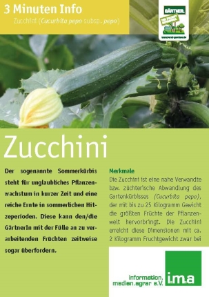 3 Minuten Info Zucchini