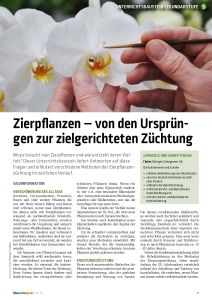 Lehrermagazin lebens.mittel.punkt Heft 58