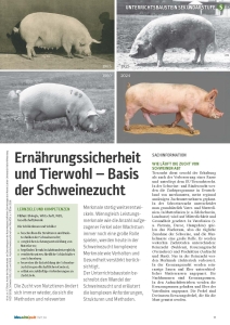 Lehrermagazin lebens.mittel.punkt Heft 59