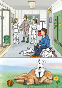 Paul der Hund vom Bauernhof - Heft 6