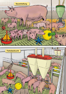 Paul der Hund vom Bauernhof - Heft 6