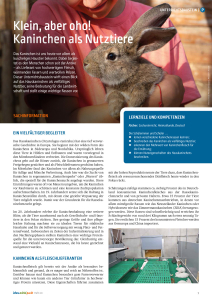 Bildungsmagazin lebens.mittel.punkt Heft 60