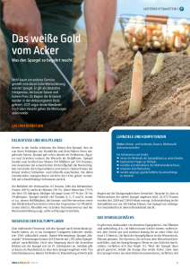 Bildungsmagazin lebens.mittel.punkt Heft 60