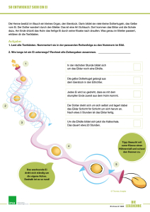 Poster Legehenne