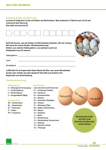 Poster Legehenne