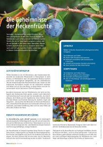 Bildungsmagazin lebens.mittel.punkt Heft 61/62