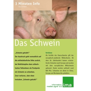 3 Minuten Info Schwein
