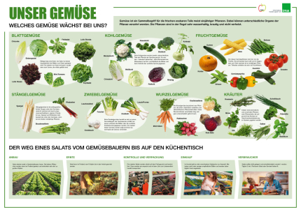 Poster Gemüse