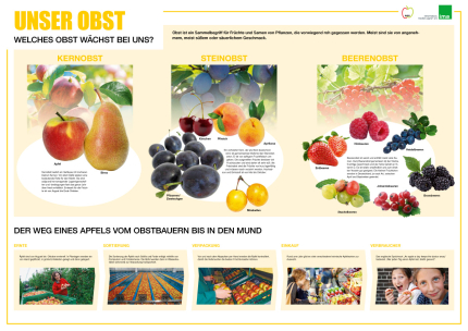 Poster Obst
