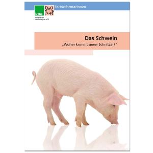 Sachinformation Schwein